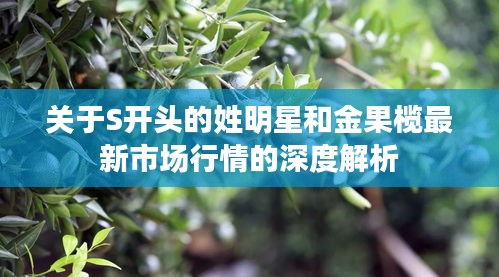 关于S开头的姓明星和金果榄最新市场行情的深度解析