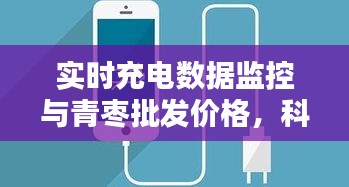 实时充电数据监控与青枣批发价格,科技与传统产业的紧密联动