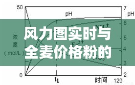 风力图实时与全麦价格粉的关系解析