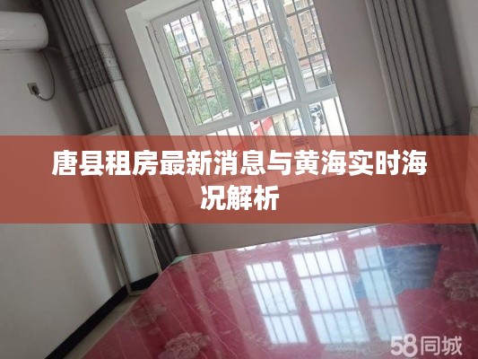 唐县租房最新消息与黄海实时海况解析