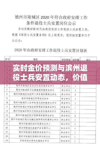 实时金价预测与滨州退役士兵安置动态，价值与荣誉的双重探讨