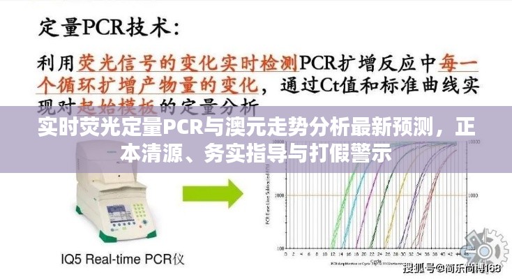 实时荧光定量PCR与澳元走势分析最新预测,正本清源、务实指导与打假警示