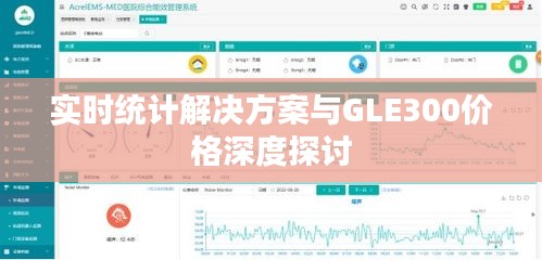 实时统计解决方案与GLE300价格深度探讨