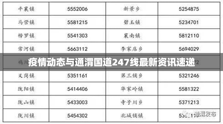 疫情动态与通渭国道247线最新资讯速递