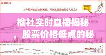 榆社实时直播揭秘，股票价格低点的秘密探寻