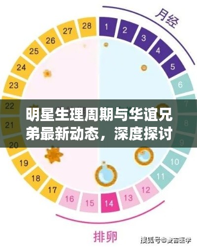 明星生理周期与华谊兄弟最新动态,深度探讨及资讯整合