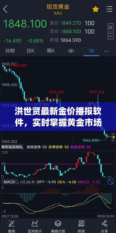 洪世贤最新金价播报软件，实时掌握黄金市场脉搏