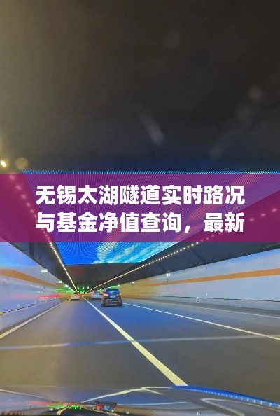 无锡太湖隧道实时路况与基金净值查询,最新信息助你明智决策