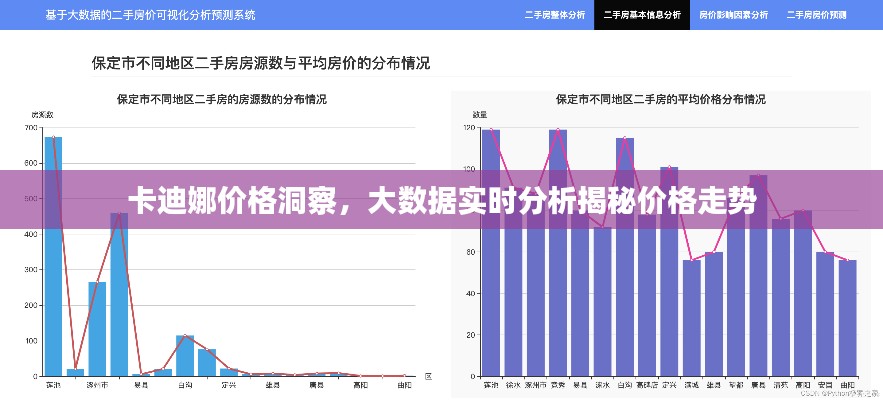 卡迪娜价格洞察，大数据实时分析揭秘价格走势