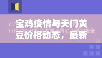 宝鸡疫情与天门黄豆价格动态,最新报道与趋势分析